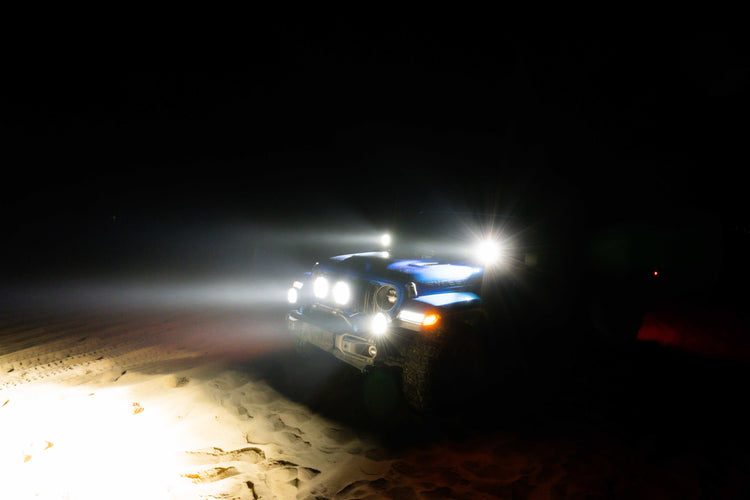 Hornet Series: Coastal Silence